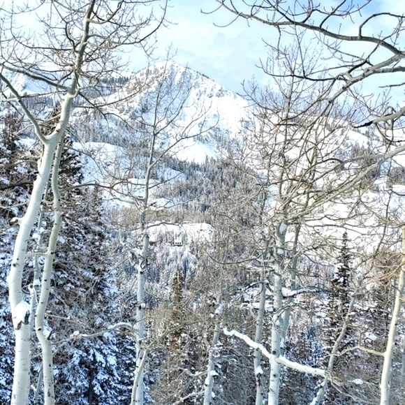 Ambassador❤Mentor❤High Rated Seller❤Send Offers❤ - Picture 10 of 12